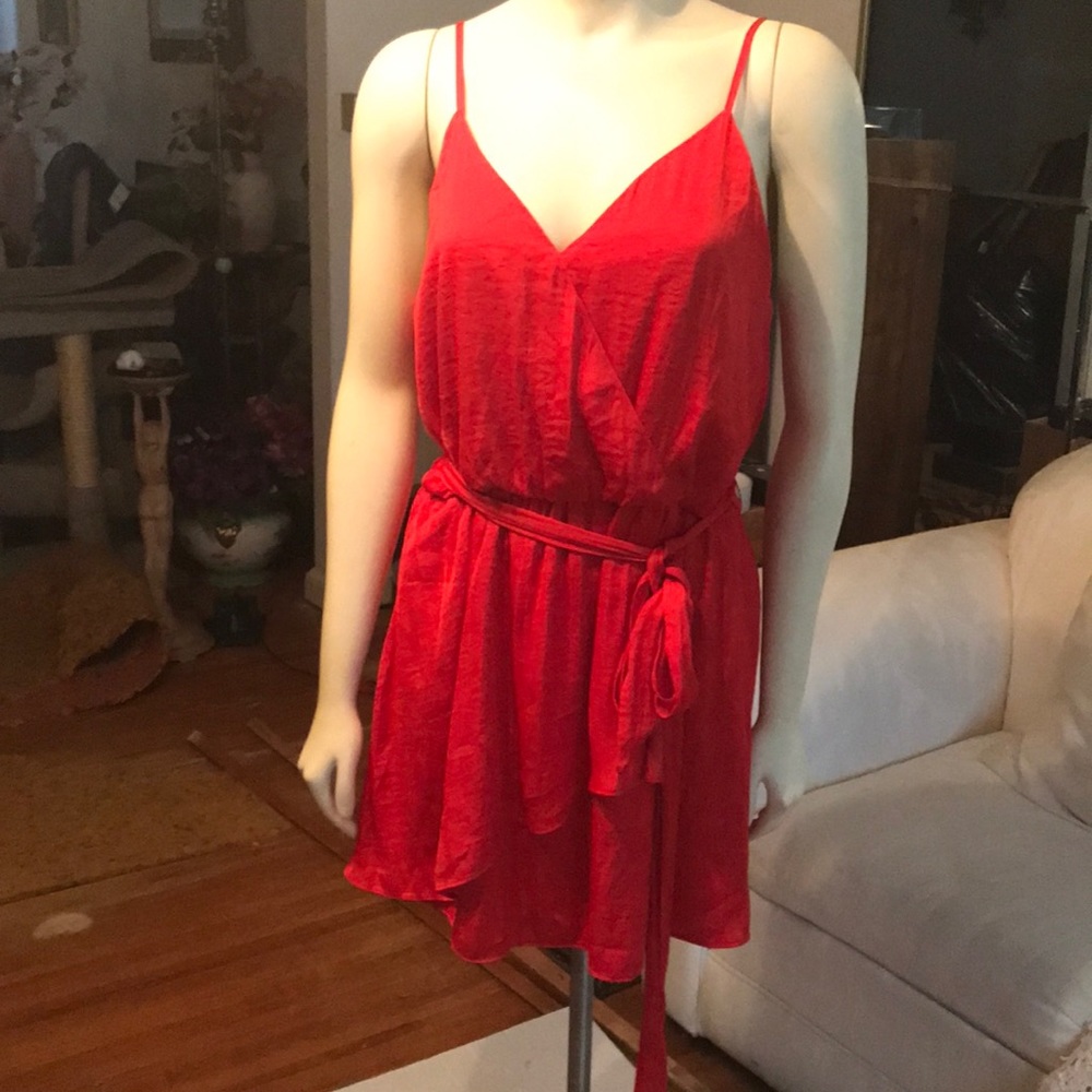 Red "Naked Zebra" Dress w/ Tie in Front or Back